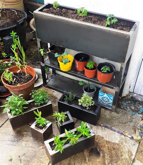 Raised Tomato Planter With Storage Etsy Australia