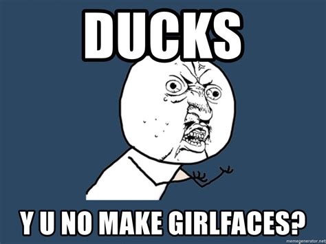 Ducks Y U No Make Girlfaces Y U No Meme Generator