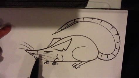 How To Draw A Rat Easy Drawings Youtube