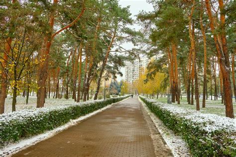 Autumn Winter Snow Park View First Snow In Autumn City Stock Photo