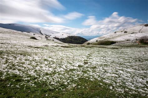 Snow Feild Stock Photos Pictures And Royalty Free Images Istock
