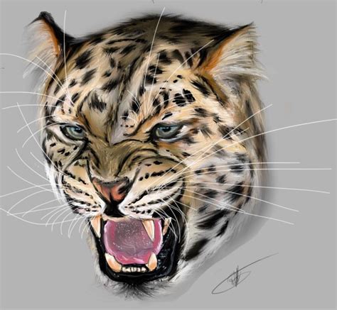 Amur Leopard Digital Painting By Rhobbs94 On Deviantart