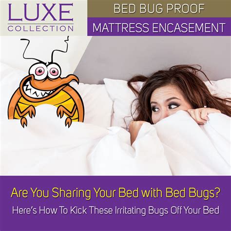 Luxe collection bed bug mattress protector set include mattress encasement and pillow protector. Bedsheets | Waterproof Mattress Protector | Pillow ...