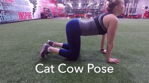 Cat Cow Pose YouTube