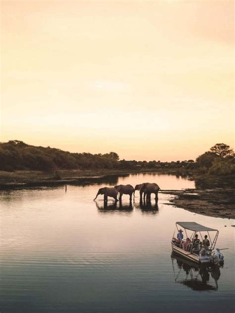 20 Photos To Inspire You To Visit Botswana The Blonde Abroad River