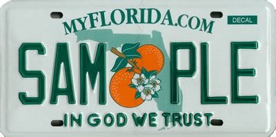 It gives the license holder the legal right to sell property and liability insurance. Florida License Plate Lookup | Free Vehicle History | VinCheck.info