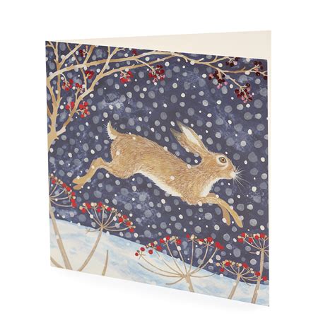 Large Snowy Hare Christmas Card 10 Pack Oxfam Gb Oxfams Online Shop