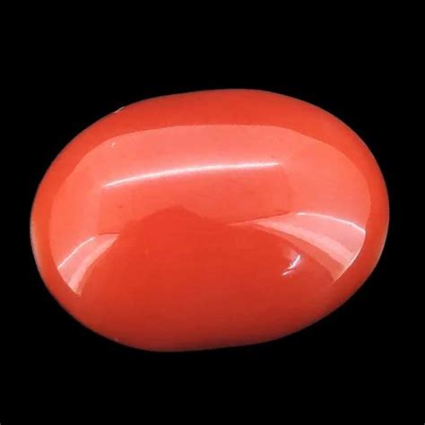 Japanese Red Coral Gemstone Size 695 Cts 765 Ratti At Rs 20850