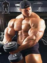 Pictures of Bodybuilding Training Biceps Triceps