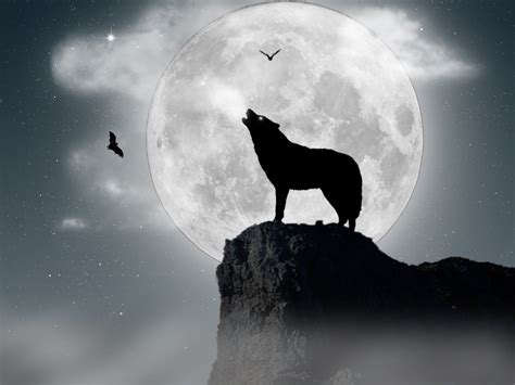 Wolf And Moon Wallpaper Wallpapersafari