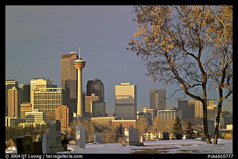 Picturephoto Calgary Skyline Seen From The Cemetery In Winter