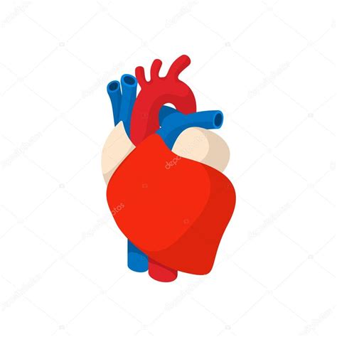 Corazón Humano Icono De Dibujos Animados Stock Vector By ©juliarstudio