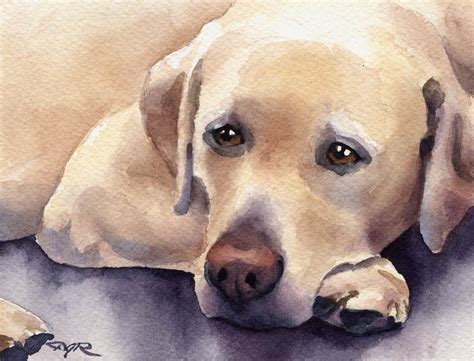Labrador Retriever Art Print By Watercolor Artist Dj Rogers Etsy