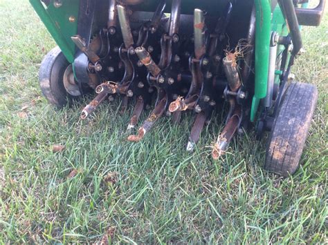 Doing it on your own. DIY Aerating vs. Using a Lawn Aeration Service in ...