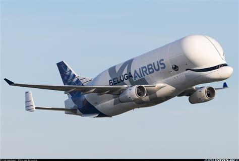 Airbus A330 743l Beluga Xl Airbus Transport International Aviation