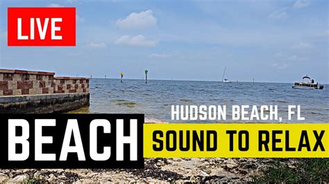 Beach Live Sound To Relax Now Hudson Beach Florida Youtube