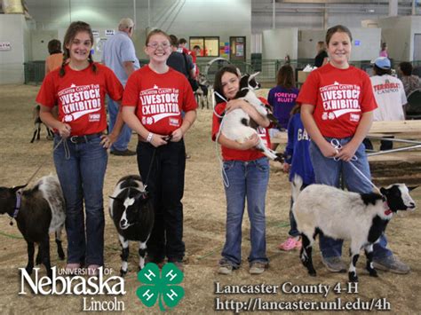 4 H Goat Photos 2009 Lancaster County Fair Nebraska Extension In Lancaster County