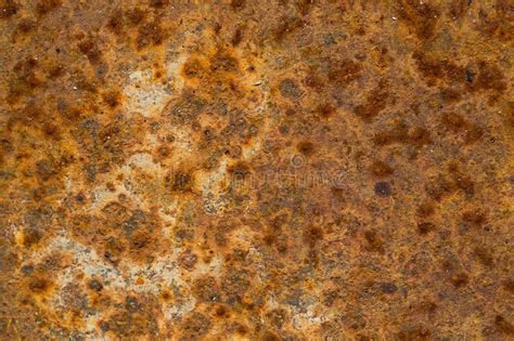 Large Texture Of Old Rusty Iron Sheet Stock Image Image Of Level