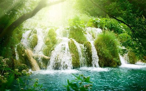Forest Waterfall Wallpapers Wallpaper Cave
