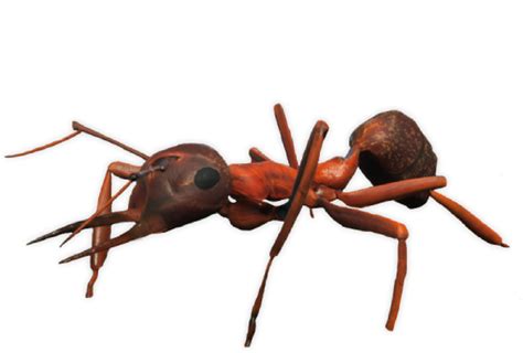 Bull Ant Smalland Survive The Wilds Wiki Fandom