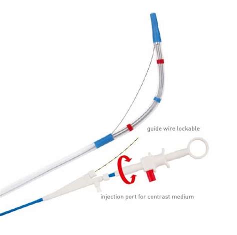 Ercp Stent Pusher Catheter Diagmed
