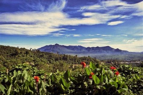 Dari Aceh Sampai Papua Inilah Surga Surga Kopi Yang Layak Kamu