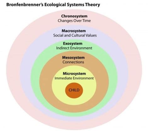 Ecological system theory is also called human ecological theory, bronfenbrenner's ecological systems theory. 5 Course Concepts in HDFS 1070 at UConn - OneClass Blog