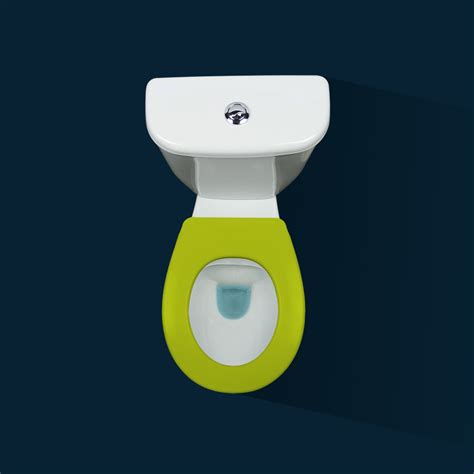 La lunette de toilettes clipsable et personnalisable qui va révolutionner votre façon de nettoyer vos wc. Lunette wc clipsable - 100 % hygiénique - anis PAPADO | Bricozor