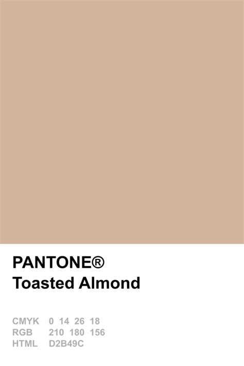 Pantone 2015 Toasted Almond Pantone Pantone Colour Palettes Summer