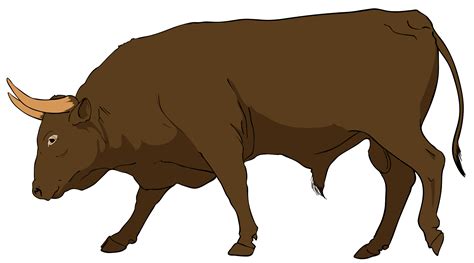 Bull Clipart 20 Free Cliparts Download Images On Clipground 2022