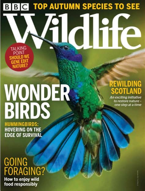 Cover Views Bbc Wildlife Magazine September 2021 Boomers Daily