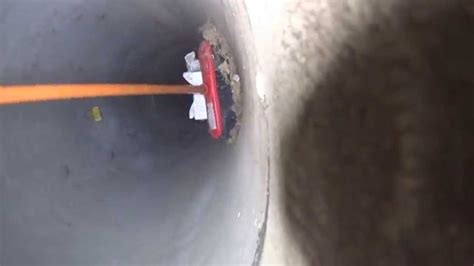 Cat Rescue Storm Water Drain Youtube