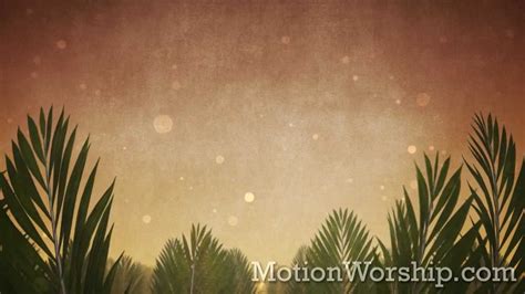 Palm Sunday Epic Branches Hd Looping Background By Motion Worship Youtube