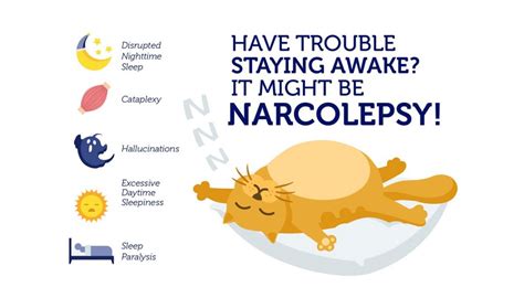 Did You Know Dna Influences Your Risk Of Narcolepsy Did You Know Dna