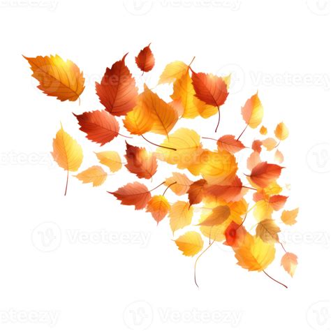 Autumn Falling Leaves Isolated 27729313 Png