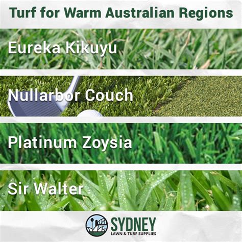 Turf For Warm Australian Regions Sydney Lawn And Turf Supplies