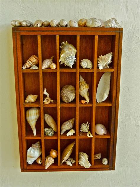 Sea Shell Decor Seashell Crafts Storage Solutions Diy