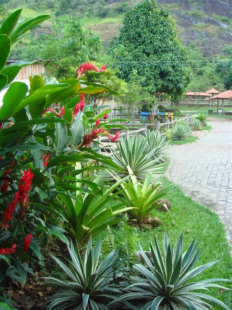 O jardim gulbenkian é um dos jardins mais emblemáticos do movimento moderno em portugal e uma referência para a arquitetura paisagista portuguesa. Jardim de Stefania: **Jardim Tropical - Meus Projetos