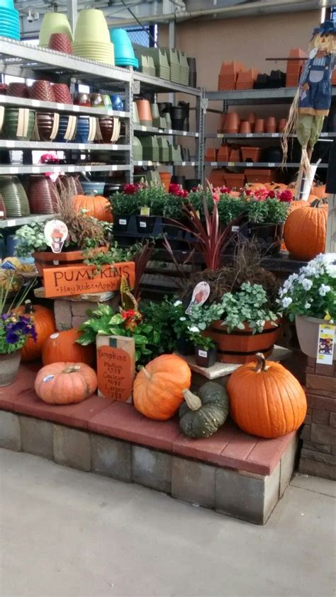 We did not find results for: Fall at Lowes | Garden shop, Retail display, Garden