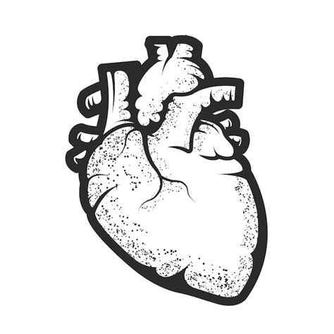 Human Heart Outline Tattoo