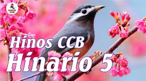 Hinário 5 (480 hinos tocados): #beloshinosccb - Belos Hinos CCB Cantados Hinario 5 - As ...
