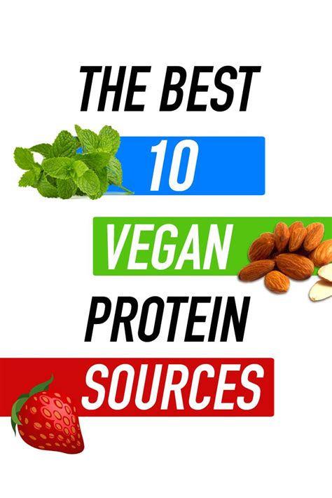 Best 10 Vegan Protein Sources Plant Based Protein For Meals Recipes