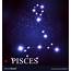Pisces Zodiac Sign Of The Beautiful Bright Stars Vector Image