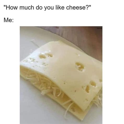 I Just Love Cheese In 2021 Really Funny Memes Crazy Funny Memes