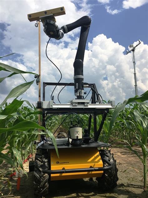 Robots Help Study Of Drought Tolerant Corn