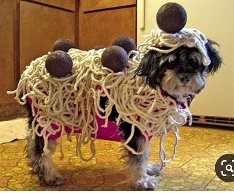 Pin By Zeet Swaggerty On Costumes For Animals Dog Halloween Costumes