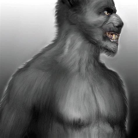 Gray Werewolf By Oboroten On Deviantart