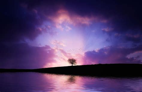 Relaxing Purple Wallpapers Top Free Relaxing Purple Backgrounds
