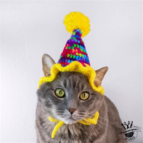 Cat Wearing Birthday Hat