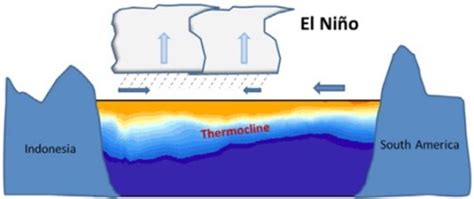 Study Belajar Dari Rumah Enso El Nino Dan La Nina Pengertian Peristiwa